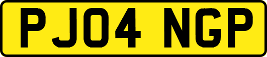 PJ04NGP