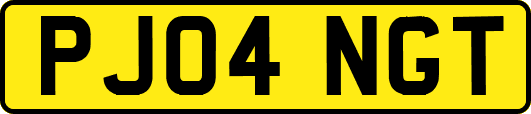 PJ04NGT