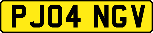 PJ04NGV