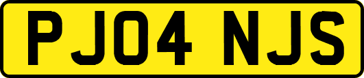 PJ04NJS