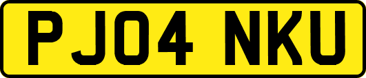 PJ04NKU