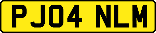 PJ04NLM