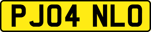 PJ04NLO