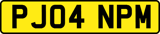 PJ04NPM