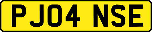 PJ04NSE