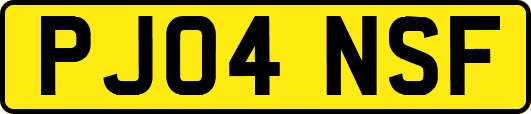 PJ04NSF