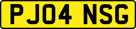 PJ04NSG