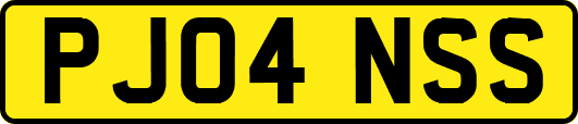 PJ04NSS