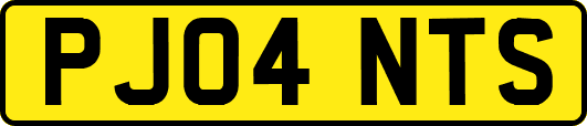 PJ04NTS