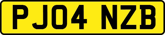 PJ04NZB