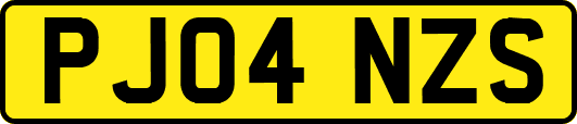 PJ04NZS