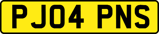 PJ04PNS