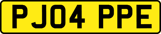 PJ04PPE