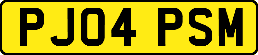 PJ04PSM