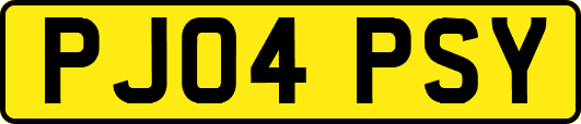 PJ04PSY