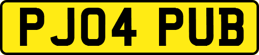 PJ04PUB