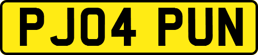 PJ04PUN