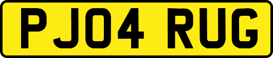 PJ04RUG