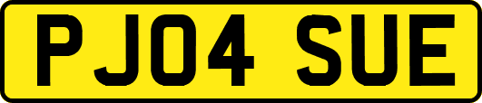 PJ04SUE