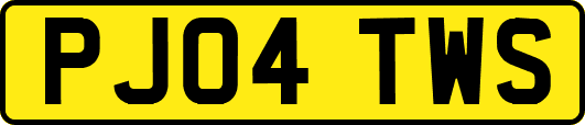 PJ04TWS