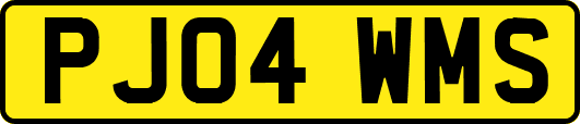 PJ04WMS