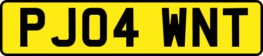 PJ04WNT