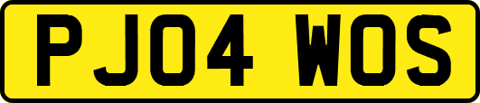 PJ04WOS