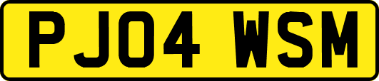 PJ04WSM