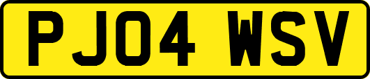 PJ04WSV