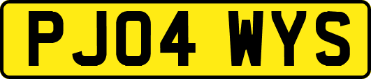 PJ04WYS