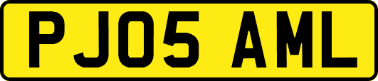 PJ05AML