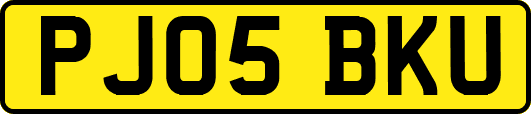 PJ05BKU