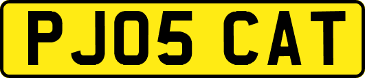 PJ05CAT