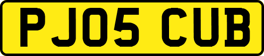 PJ05CUB