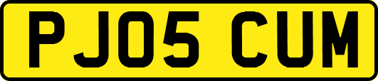 PJ05CUM