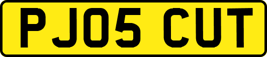 PJ05CUT