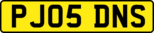 PJ05DNS