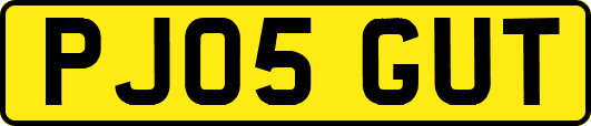 PJ05GUT