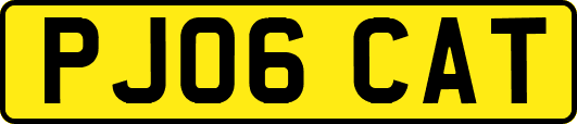 PJ06CAT