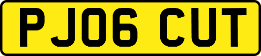 PJ06CUT