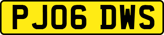 PJ06DWS