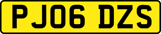 PJ06DZS
