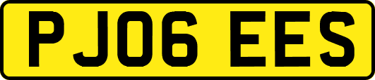 PJ06EES