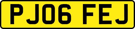 PJ06FEJ