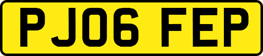 PJ06FEP