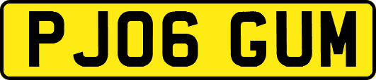 PJ06GUM