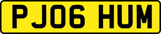 PJ06HUM