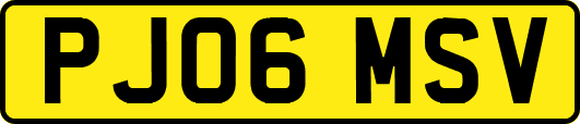 PJ06MSV