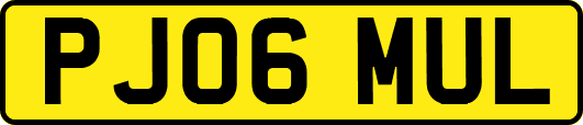 PJ06MUL