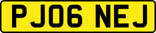 PJ06NEJ